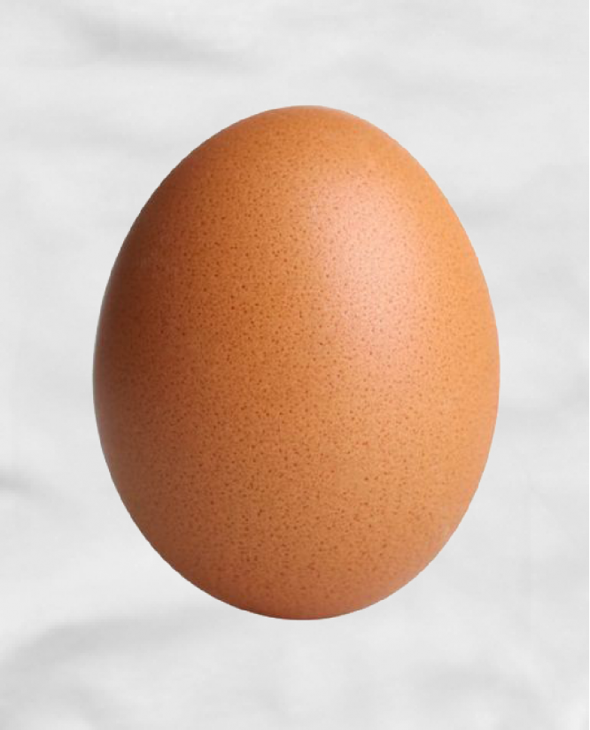Egg